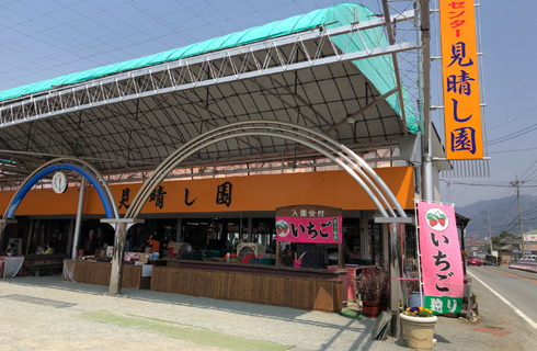 山梨のフルーツ狩り(桃・ぶどう)・お食事処|見晴し園